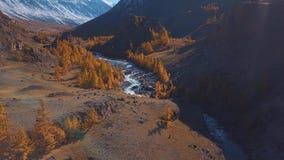 Von der Luft - Flug über einem Gebirgsherbstfluß Das Wasser ist Türkis und die Lärche ist gelb Flug in einem schönen stock footage Von der Luft - Flug über einem Gebirgsherbstfluß Das Wasser ist Türkis und die Lärche ist gelb Flug in einem schönen stock footage