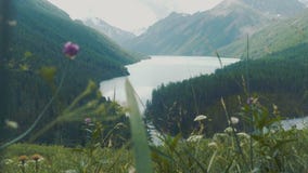 Von der Luft - niedrig fliegend über den Türkisfarbfluß, der seine Weise durch das Spring Valley schnitzt stock video Von der Luft - niedrig fliegend über den Türkisfarbfluß, der seine Weise durch das Spring Valley schnitzt stock video
