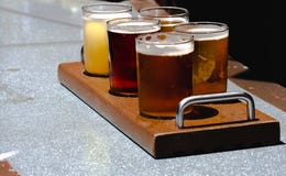 Voo de cervejas do ofício em um dia de verão quente fotografia de stock Voo de cervejas do ofício em um dia de verão quente fotografia de stock