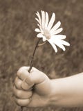 Voor u #2 Voor u #2