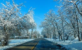 Voyage par la route de campagne dans l'hiver images libres de droits Voyage par la route de campagne dans l'hiver images libres de droits
