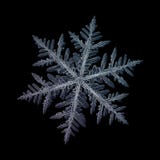 Vrai flocon de neige d'isolement sur le fond noir image stock Vrai flocon de neige d'isolement sur le fond noir image stock