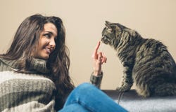 Vrouw het spelen met een kat stock afbeelding Vrouw het spelen met een kat stock afbeelding