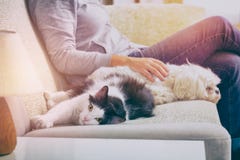 Vrouw met haar huisdieren stock afbeelding Vrouw met haar huisdieren stock afbeelding