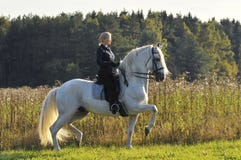Vrouw op wit paard royalty-vrije stock afbeelding Vrouw op wit paard royalty-vrije stock afbeelding