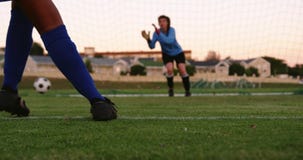 Vrouwelijke bewaarder die op vrouwelijke voetballer wachten om de bal te schoppen 4K stock videobeelden Vrouwelijke bewaarder die op vrouwelijke voetballer wachten om de bal te schoppen 4K stock videobeelden