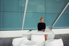 Vrouwelijke succesvolle ondernemer die op laptop computer nodig informatie naar haar nieuw project zoeken stock foto Vrouwelijke succesvolle ondernemer die op laptop computer nodig informatie naar haar nieuw project zoeken stock foto