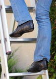 Vrouwelijke werknemer die op ladder in tuin beklimmen stock fotografie Vrouwelijke werknemer die op ladder in tuin beklimmen stock fotografie