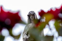Vrouwenstandbeeld in Recoleta-Begraafplaats met twee rozen op de voorgrond stock fotografie Vrouwenstandbeeld in Recoleta-Begraafplaats met twee rozen op de voorgrond stock fotografie