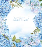 Vue d'hortensia bleu d'aquarelle, lavande illustration de vecteur Vue d'hortensia bleu d'aquarelle, lavande illustration de vecteur