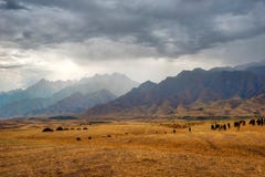 Vue d'orage vers le Kirghizistan dans la prise du sud de Kazakhstan image stock Vue d'orage vers le Kirghizistan dans la prise du sud de Kazakhstan image stock
