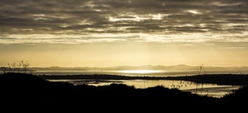 Vue de lever de soleil de Mt Wellington photo stock Vue de lever de soleil de Mt Wellington photo stock