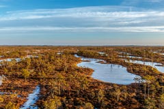 Vue de marcher la traînée en bois dans le marais dans la grande bruyère de marais de Kemeri au jour d'hiver ensoleillé avec le ci image stock Vue de marcher la traînée en bois dans le marais dans la grande bruyère de marais de Kemeri au jour d'hiver ensoleillé avec le ci image stock