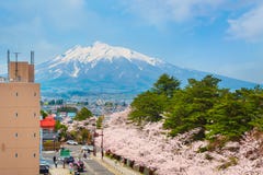 Vue de Mt Iwaki de hall municipal de Hirosaki est l'une des meilleures fleurs de cerisier de visionnement de tache avec le bâti I photographie stock libre de droits Vue de Mt Iwaki de hall municipal de Hirosaki est l'une des meilleures fleurs de cerisier de visionnement de tache avec le bâti I photographie stock libre de droits