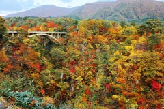 Vue magnifique d'un pont en route enjambant à travers la gorge de Naruko avec le feuillage coloré d'automne sur les falaises roch images stock Vue magnifique d'un pont en route enjambant à travers la gorge de Naruko avec le feuillage coloré d'automne sur les falaises roch images stock