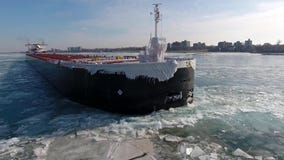 Vue merveilleuse de bourdon de l'antenne 4k sur la navigation énorme de bateau-citerne de navire de cargo de fret de récipient da banque de vidéos Vue merveilleuse de bourdon de l'antenne 4k sur la navigation énorme de bateau-citerne de navire de cargo de fret de récipient da banque de vidéos