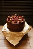 Vue supérieure d'un gâteau de tiramisu de chocolat avec des framboises, cassis, arrosés avec du cacao sur un brun en bois images stock Vue supérieure d'un gâteau de tiramisu de chocolat avec des framboises, cassis, arrosés avec du cacao sur un brun en bois images stock