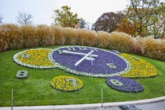 Vue étonnante de matin d'horloge de fleur à Genève, Suisse Photos stock Vue étonnante de matin d'horloge de fleur à Genève, Suisse Photos stock