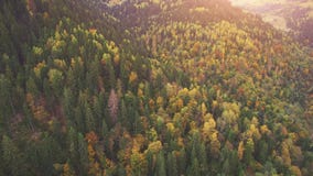 Vuelo aéreo en montañas cárpatas 4k, 30fps metrajes Vuelo aéreo en montañas cárpatas 4k, 30fps metrajes