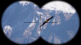 Vuelo grande del pájaro del águila sobre a través los prismáticos vistos cordillera Himalayan r Vuelo grande del pájaro del águila sobre a través los prismáticos vistos cordillera Himalayan r