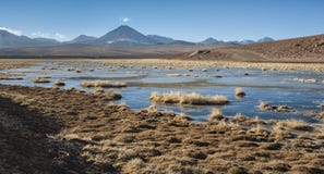 Vulcão ativo Putana igualmente conhecido como Jorqencal ou Machuca perto de Vado Rio Putana no deserto de Atacama, o Chile imagem de stock Vulcão ativo Putana igualmente conhecido como Jorqencal ou Machuca perto de Vado Rio Putana no deserto de Atacama, o Chile imagem de stock