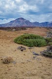 Vulkanische Landschaft um Teide, Teneriffa stockfotos Vulkanische Landschaft um Teide, Teneriffa stockfotos