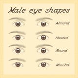 Várias formas masculinas do olho ilustração stock Várias formas masculinas do olho ilustração stock