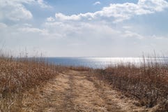 Väg till havet till och med ett fält av torrt gräs royaltyfria bilder Väg till havet till och med ett fält av torrt gräs royaltyfria bilder