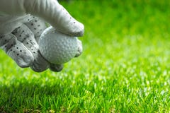 Välj upp en golfboll på grönt gräs royaltyfria foton Välj upp en golfboll på grönt gräs royaltyfria foton