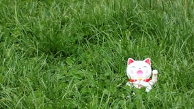 Välkomnande katt Välkomnande katt