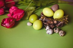 Vår- och påskferiebegrepp med ägg och tulpan royaltyfria foton Vår- och påskferiebegrepp med ägg och tulpan royaltyfria foton