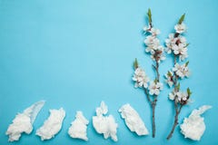Våren och sommar som blommar, vit torkar använt Allergi och rinnande näsa, begrepp Kopiera utrymme f?r text arkivbild Våren och sommar som blommar, vit torkar använt Allergi och rinnande näsa, begrepp Kopiera utrymme f?r text arkivbild