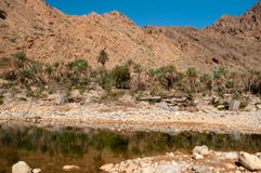 Wadi Al Arbeieen Oman Royalty Free Stock Image Wadi Al Arbeieen Oman Royalty Free Stock Image