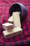 Wafers Royalty Free Stock Photography