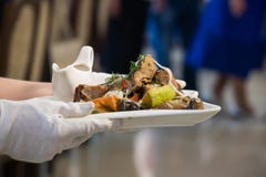 The waitress is holding a dish: meat with grilled vegetables royalty free stock photos The waitress is holding a dish: meat with grilled vegetables royalty free stock photos