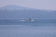 Wakeboarding στη λίμνη Cultus, κάμψη, Όρεγκον στοκ φωτογραφίες Wakeboarding στη λίμνη Cultus, κάμψη, Όρεγκον στοκ φωτογραφίες