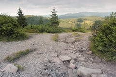Wald und Berge stockbilder Wald und Berge stockbilder