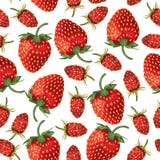 Walderdbeeren und Erdbeermuster nahtlos stock abbildung Walderdbeeren und Erdbeermuster nahtlos stock abbildung