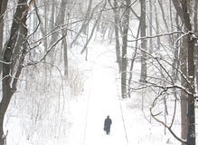 Walking In A Park Royalty Free Stock Photos Walking In A Park Royalty Free Stock Photos