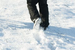 Walking on show field Royalty Free Stock Photos Walking on show field Royalty Free Stock Photos