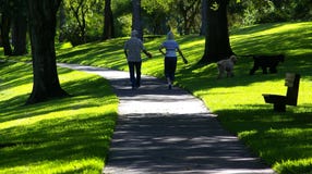 Walking The Dogs Stock Photo Walking The Dogs Stock Photo