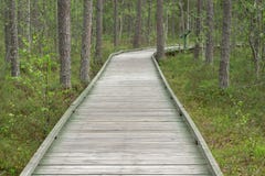 Walking, wooden path in the forest for rest and walks royalty free stock photography Walking, wooden path in the forest for rest and walks royalty free stock photography