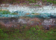 Wall Covered By Moss Stock Image Wall Covered By Moss Stock Image