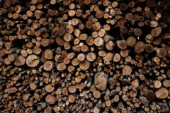 Wall of stacked wood logs as background royalty free stock photos Wall of stacked wood logs as background royalty free stock photos
