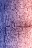Wall texture Royalty Free Stock Photos Wall texture Royalty Free Stock Photos