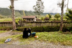 Wamena, Indonesia - 9 gennaio 2010: Donna di Dani che lava i vestiti su una strada rurale nella valle di Baliem, Papuasia Nuova G immagine stock libera da diritti Wamena, Indonesia - 9 gennaio 2010: Donna di Dani che lava i vestiti su una strada rurale nella valle di Baliem, Papuasia Nuova G immagine stock libera da diritti