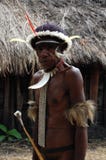 WAMENA, INDONESIEN - 28. DEZEMBER 2010: Wilde Leute in Dany-tribl lizenzfreies stockfoto WAMENA, INDONESIEN - 28. DEZEMBER 2010: Wilde Leute in Dany-tribl lizenzfreies stockfoto