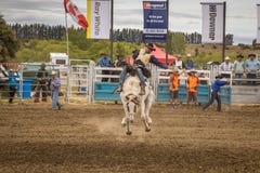 WANAKA NYA ZEELAND - JANUARI 2, 2017: Cowboyen deltar i en konkurrens för ridning för sadelbronchäst i den 54th Wanaka rodeon arkivbilder WANAKA NYA ZEELAND - JANUARI 2, 2017: Cowboyen deltar i en konkurrens för ridning för sadelbronchäst i den 54th Wanaka rodeon arkivbilder