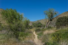 Wanderweg durch Süd-Kalifornien-Bürste Stockfotos Wanderweg durch Süd-Kalifornien-Bürste Stockfotos