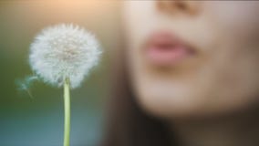 Wargi kobiety dmuchanie na Dandelion zbiory wideo Wargi kobiety dmuchanie na Dandelion zbiory wideo